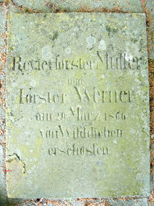 grabplatte foerster mueller-werner