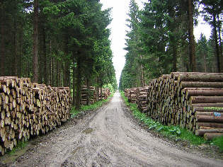 koenigsweg - rueckenlinie alte schmacht