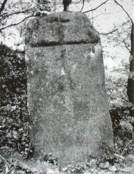 kopie lit. g. mueller-h. quietzsch 1977