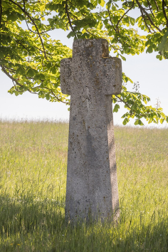 urheber: derzno