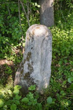 urheber: derzno