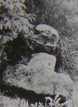 kopie b. losch 1981