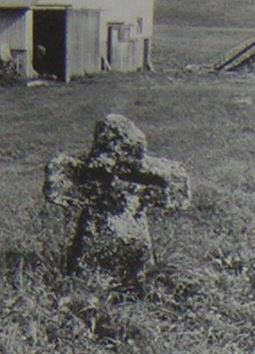 kopie b. losch 1981 kopie b. losch 1981