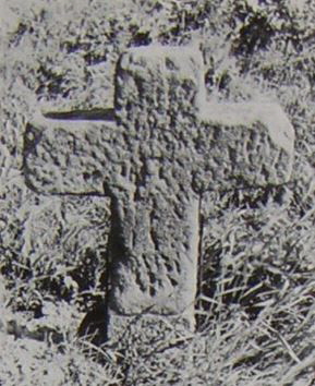 kopie b. losch 1981 kopie b. losch 1981