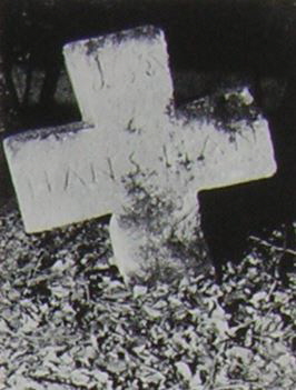 b. losch 1981