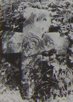 kopie b. losch 1981 kopie b. losch 1981