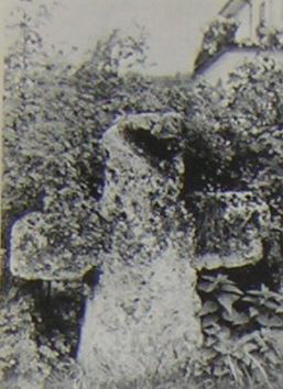 kopie b. losch 1981 kopie b. losch 1981
