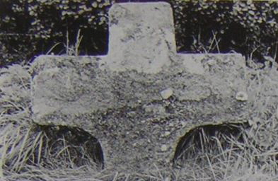 kopie b. losch 1981 kopie b. losch 1981