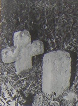 kopie b. losch 1981 kopie b. losch 1981