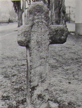 kopie b. losch 1981 kopie b. losch 1981