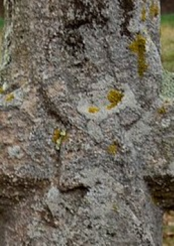 detail darstellung