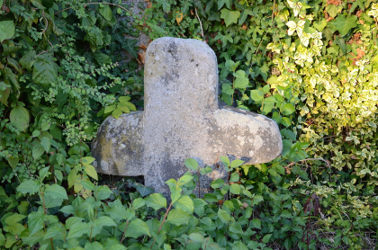 urheber: tilman2007