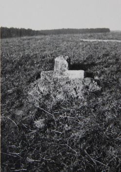 heimatkreis empfingen o.j.