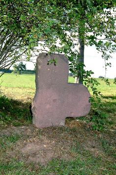 urheber rudolf wild urheber rudolf wild