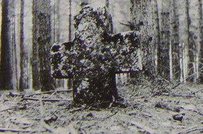 kopie b. losch 1981 kopie b. losch 1981