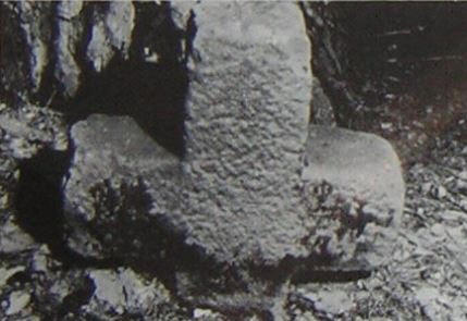 kopie b. losch 1981 kopie b. losch 1981