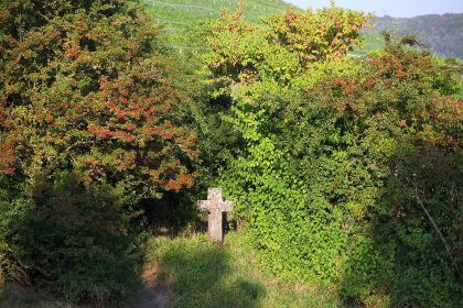 urheber schorle urheber schorle