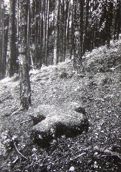 urheber g. a. kuhfahl 1928 urheber g. a. kuhfahl 1928
