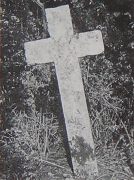 kopie b. losch 1981 kopie b. losch 1981