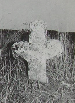 kopie b. losch 1981 kopie b. losch 1981
