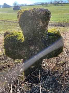 urheber: franz mueller andere seite urheber: franz mueller andere seite