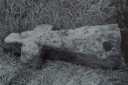 kopie f. stoerzner aus 1978 kopie f. stoerzner aus 1978