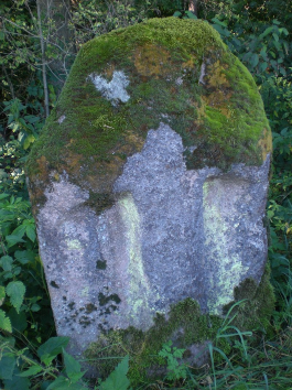 urheber: derzno