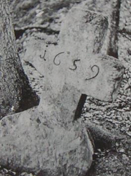 kopie b. losch 1981 kopie b. losch 1981