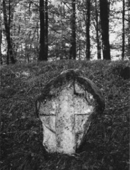 urheber: artur weis