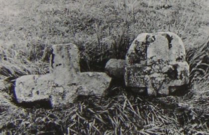 kopie b. losch 1981 kopie b. losch 1981