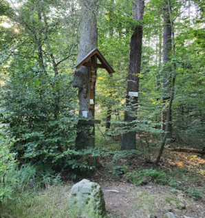 urheber: sebastian gropp