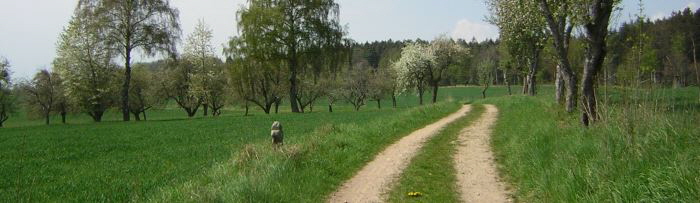 verf. eig. werk blickrichtung westen