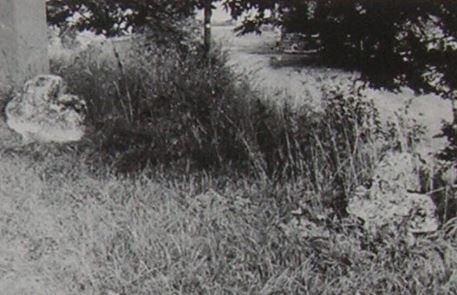 kopie b. losch 1981 kopie b. losch 1981