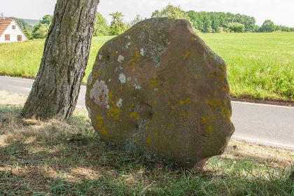 urheber: derzno andere seite