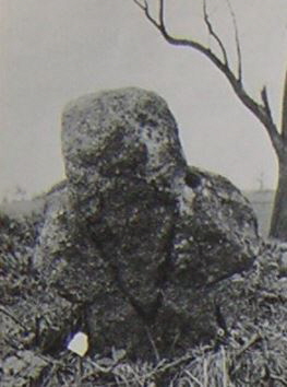 kopie b. losch 1981