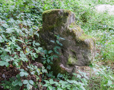 urheber: derzno