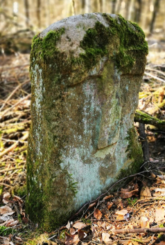 quelle: google.com-maps-strullendorf