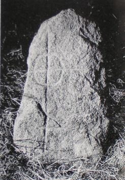 kopie f. stoerzner 1988 kopie f. stoerzner 1988
