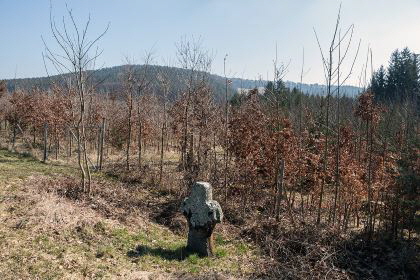 urheber: derzno