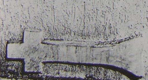 kopie b. losch 1981 kopie b. losch 1981