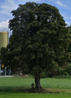 quelle: google.com-maps-unterreit street view quelle: google.com-maps-unterreit street view