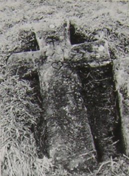 kopie b. losch 1981 kopie b. losch 1981