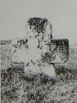 kopie b. losch 1981 kopie b. losch 1981