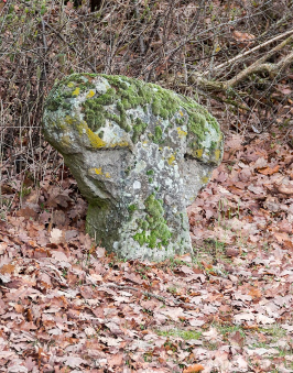 urheber: derzno