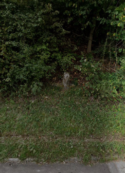 quelle: google.com-maps-weihenzell-street view