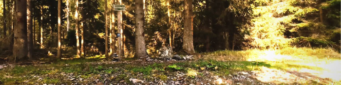 google.com-maps-urheber: viktor wakker 