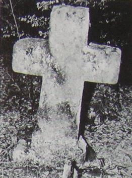kopie b. losch 1981 kopie b. losch 1981