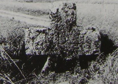 kopie b. losch 1981 kopie b. losch 1981