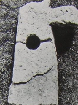 kopie b. losch 1981 kopie b. losch 1981