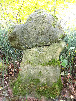 steinkreuz bad salzungen